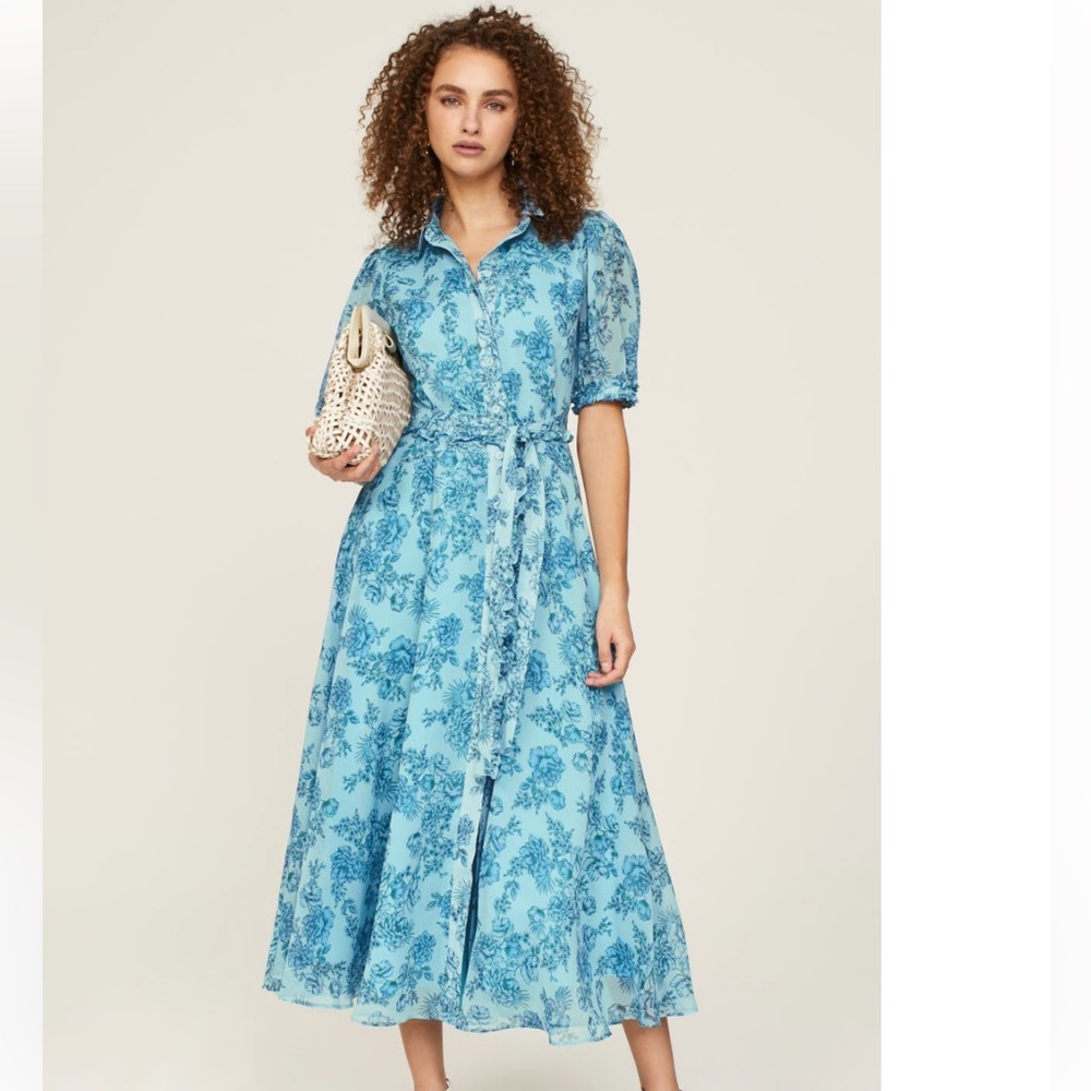Derek Lam Collective Blue Chiffon Floral shirt dress